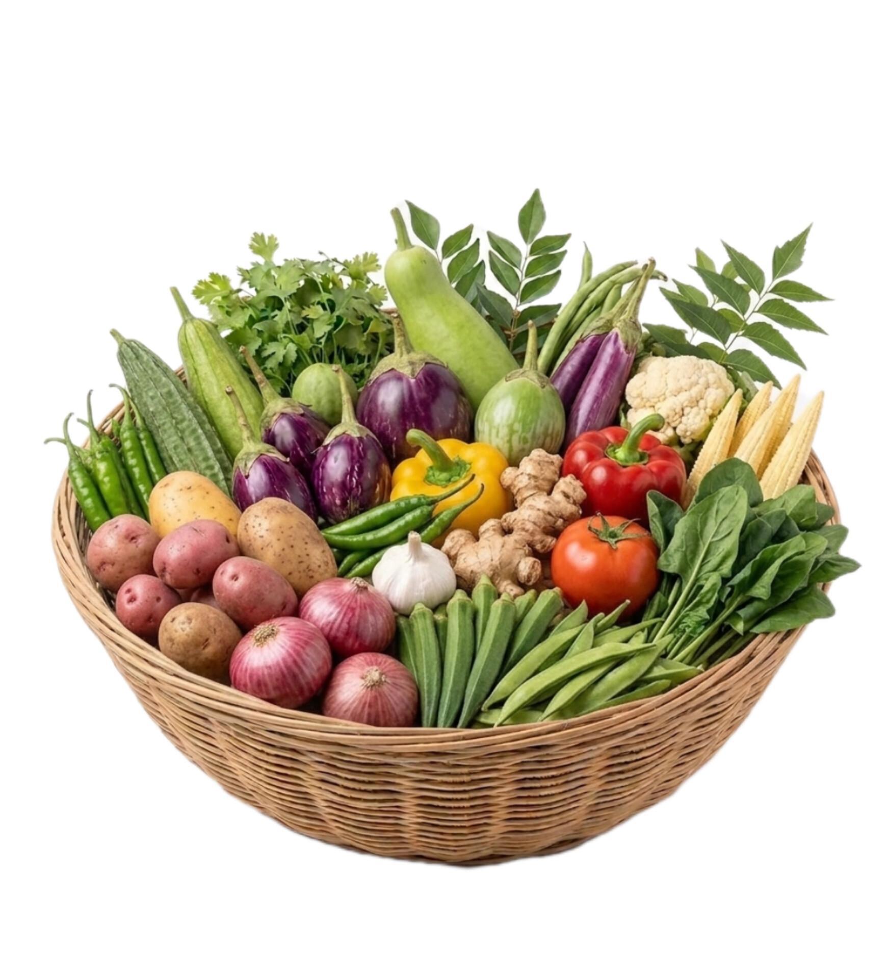 Jaivik Weekly Fresh Vegetable Basket