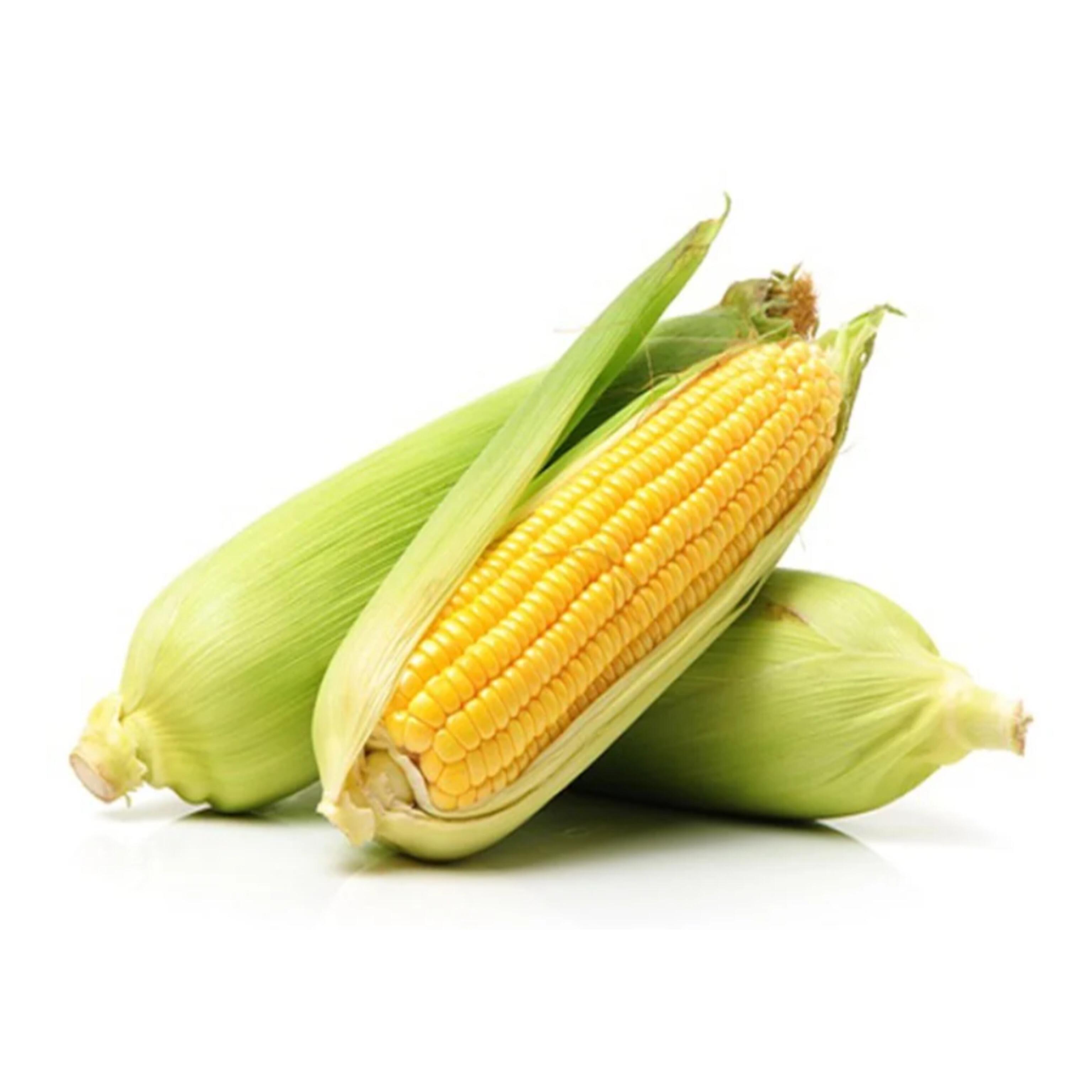 Jaivik Sweet Corn Cob - 1 pc – 1 pc