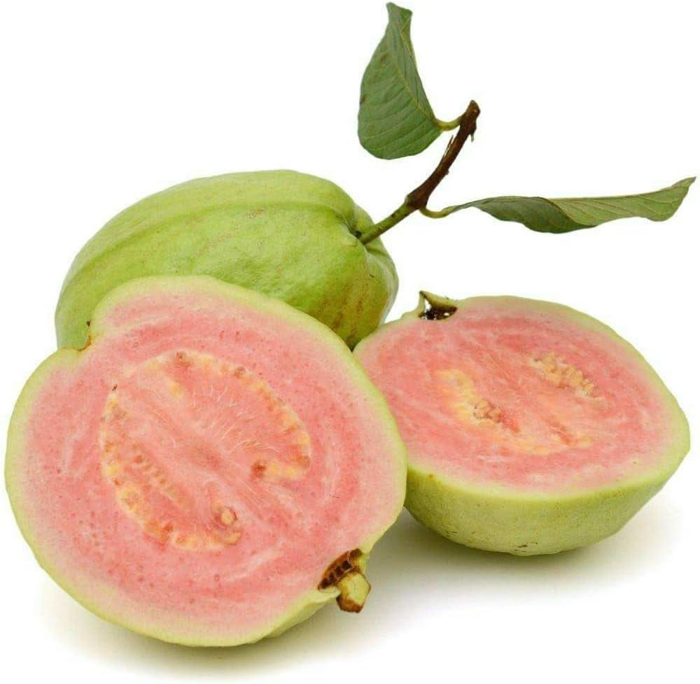 Jaivik Guava Thai Pink - 1 pc – 1 pc