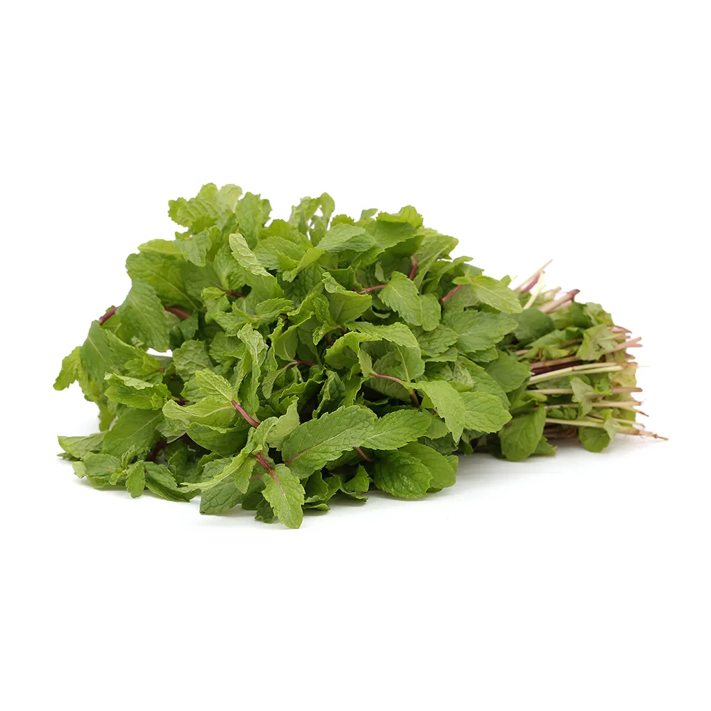 Jaivik Mint (Pudina) - 50 g – 50 g