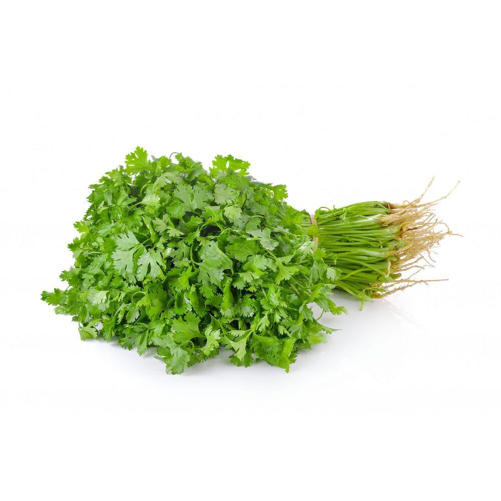 Jaivik Coriander - 100 g – 100 g