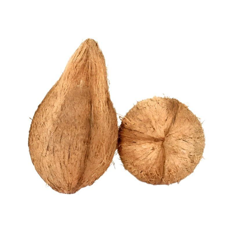 Jaivik Coconut - 1 pc – 1 pc